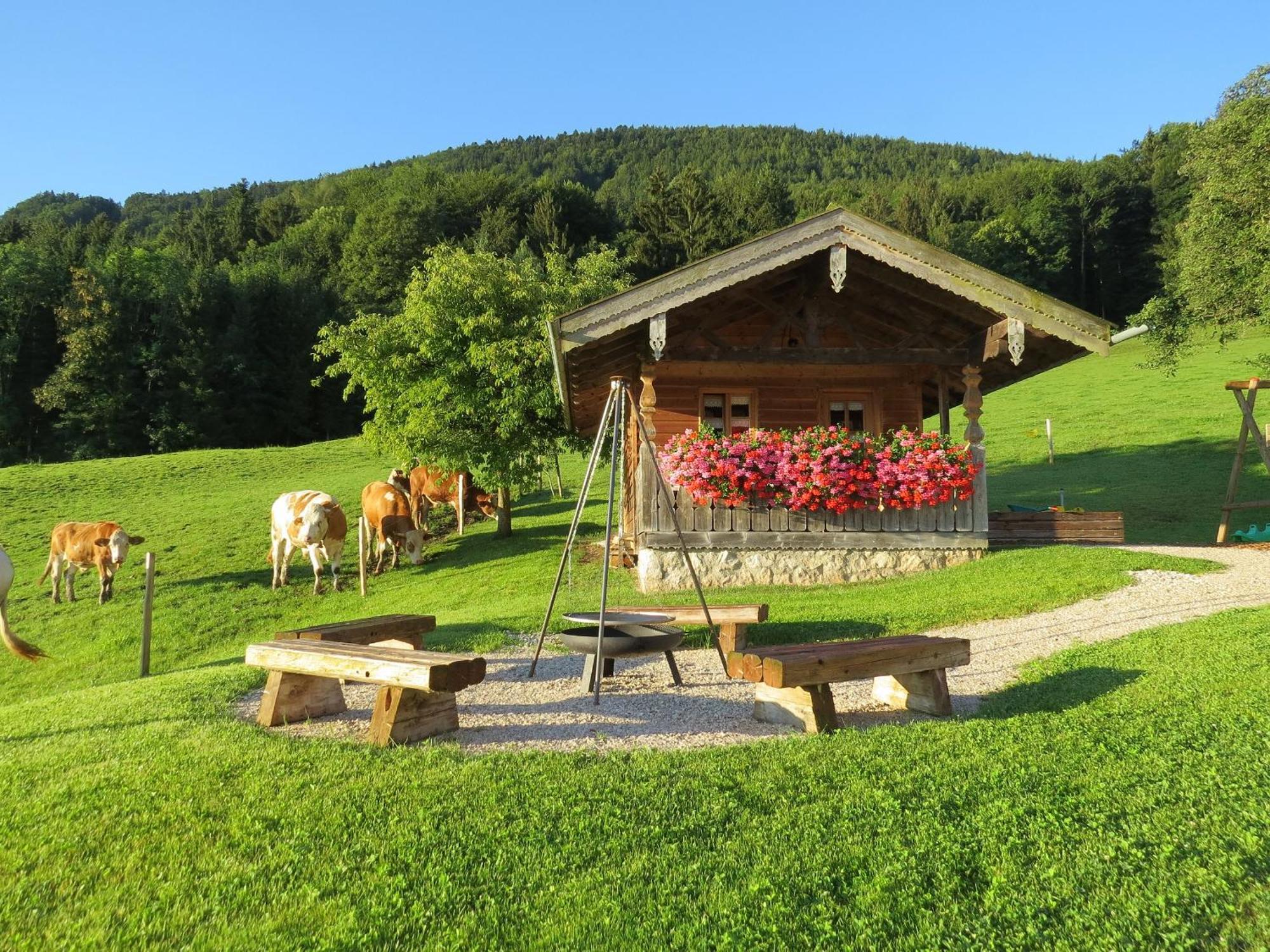Schleipfnerhof Urlaub Auf Dem Bauernhof Villa Bernau am Chiemsee Exteriör bild